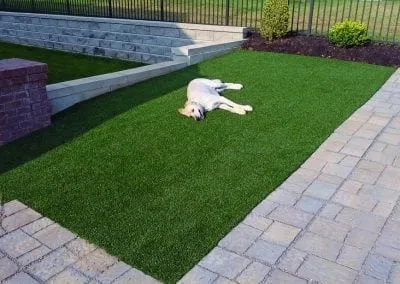 K9Grass artificial turf for dogs