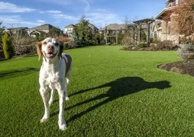 K9Grass artificial turf for dogs installation